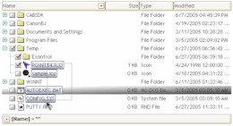 exfileview